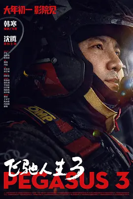 国产亚洲精品自在线观看