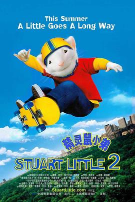 伊人伊网