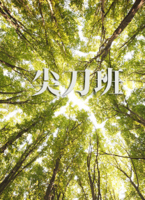168.192.l.l登陆界面 192.168.1.1