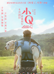 百分百无遮挡